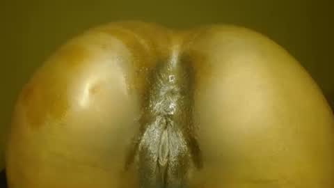 Snapshot of samanthjey chatting on 11.14.25 manth online show from 11.14.25