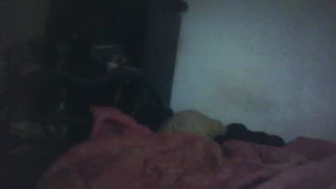 Samedisamedi1nouveau online show from 10.18.25