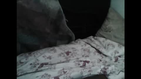 Samedisamedi1nouveau online show from 03.07.26