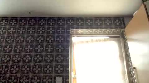 samegee online show from 10.16.25