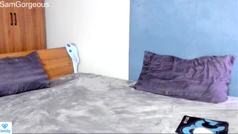 Snapshot of samgorgeous chatting on 12.17.24 Fansly - Top4fans online show from 12.17.24