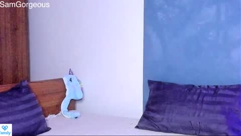 Snapshot of samgorgeous chatting on 01.21.25 Fansly - Top4fans online show from 01.21.25