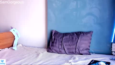 Snapshot of samgorgeous chatting on 01.30.25 Fansly - Top4fans online show from 01.30.25