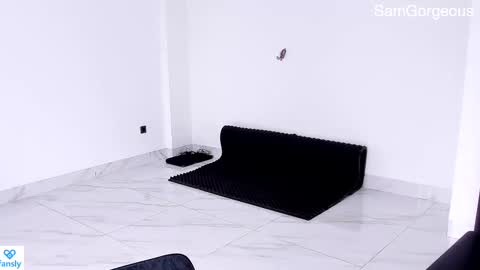 Snapshot of samgorgeous chatting on 02.19.25 Fansly - Top4fans online show from 02.19.25