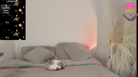 Snapshot of sammy_jhonson25 chatting on 03.29.26 sammy_jhonson25 online show from 03.29.26