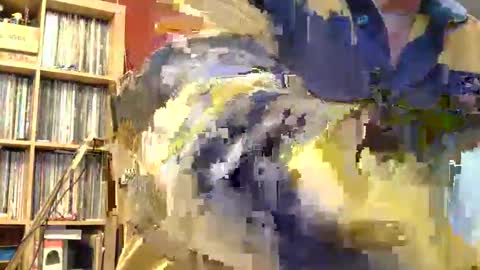 Snapshot of samsenior70 chatting on 11.08.25 Sam online show from 11.08.25