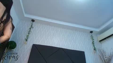 Snapshot of sandy_rivas chatting on 01.10.26 SAM online show from 01.10.26