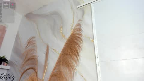 Snapshot of sandy_rivas chatting on 02.02.26 SAM online show from 02.02.26