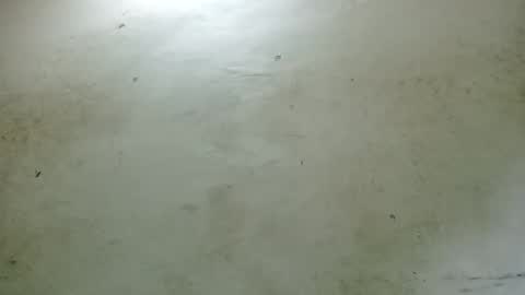 Snapshot of santichai561323 chatting on 02.24.25 santichai561323 online show from 02.24.25