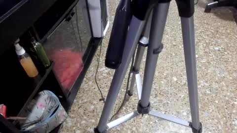 Snapshot of sara_salgado chatting on 02.11.26 sara_salgado online show from 02.11.26