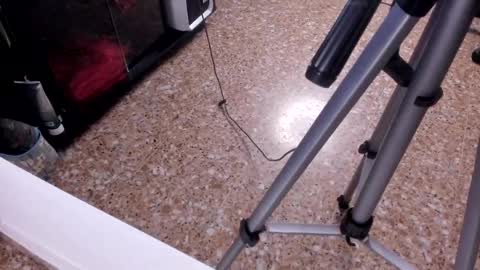 Snapshot of sara_salgado chatting on 02.23.26 sara_salgado online show from 02.23.26