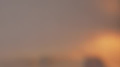       online show from 03.25.26