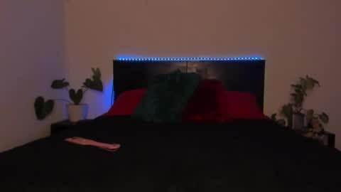 Girl next door online show from 01.19.25