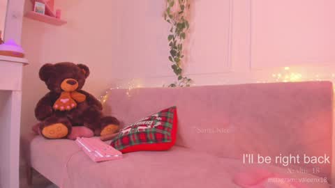 Snapshot of sarita_nice chatting on 12.28.24 Sara online show from 12.28.24