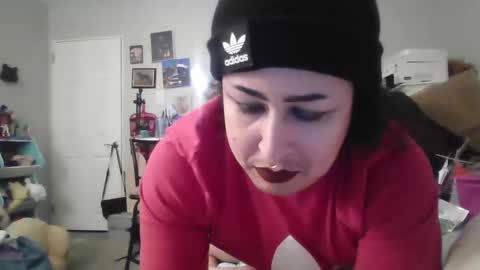 koolkat online show from 01.10.25