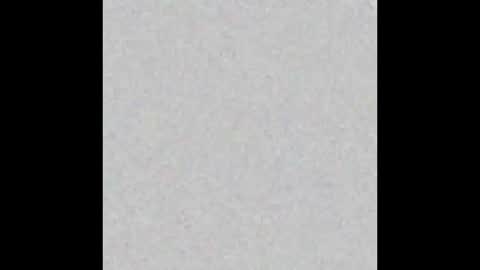 Sassysonia online show from 10.12.25