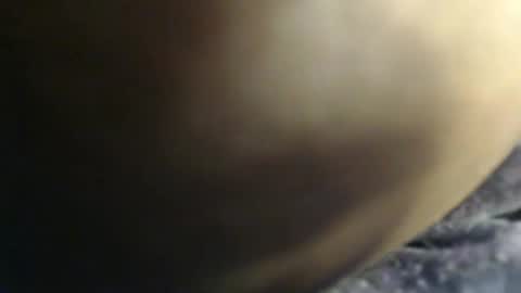 Snapshot of sauce_pety chatting on 02.03.26 pety online show from 02.03.26