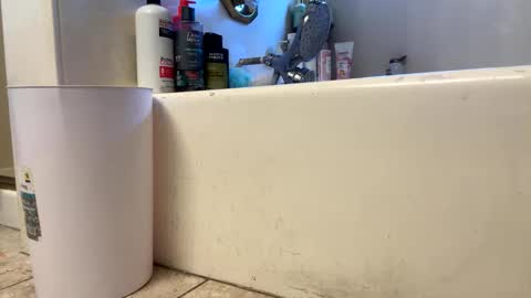 ElVergone online show from 03.01.26