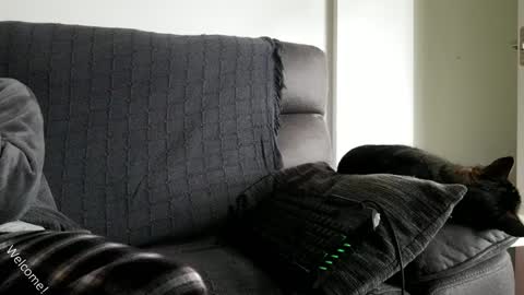 saulcontigo online show from 01.28.25