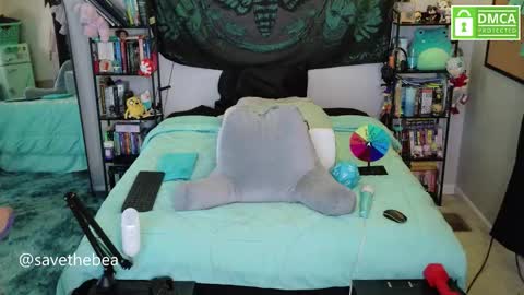 Snapshot of savethebea chatting on 11.17.25 Bea online show from 11.17.25