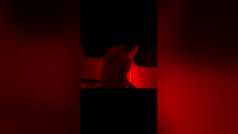 sbsesh online show from 02.14.26