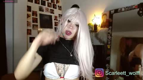 scarlet wolfindependient model online show from 11.28.25