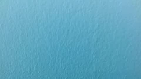 scarlet771776 online show from 11.29.25