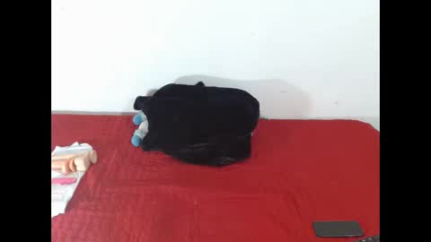 Snapshot of scarletfox__03 chatting on 02.12.26 Scarletfox Fox online show from 02.12.26