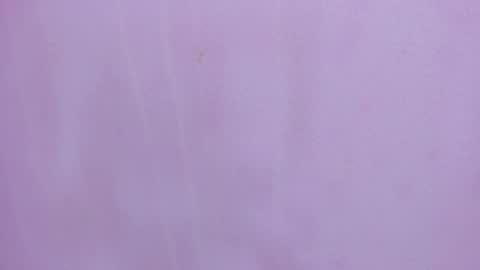 Snapshot of scarlett646 chatting on 02.28.26 Scarlett 3 online show from 02.28.26