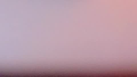 Scarlett online show from 02.13.25