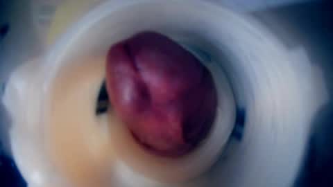 Scarr online show from 02.09.26