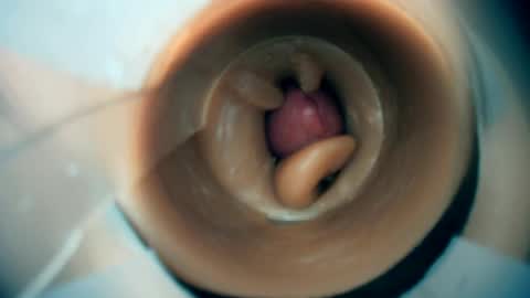 Scarr online show from 03.01.26