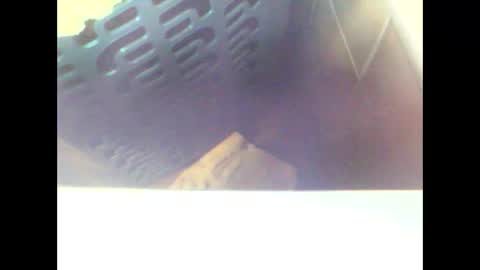 Snapshot of schnibschnab chatting on 10.29.25 schnibschnab online show from 10.29.25