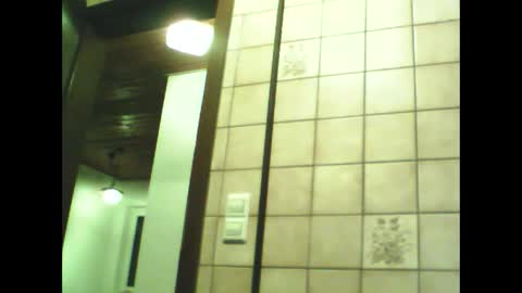 Snapshot of schnibschnab chatting on 11.30.25 schnibschnab online show from 11.30.25