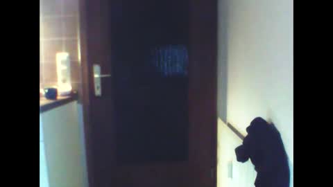 Snapshot of schnibschnab chatting on 02.27.26 schnibschnab online show from 02.27.26