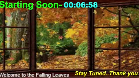 Snapshot of scifidiscoguy chatting on 11.10.25 ...PHIL... online show from 11.10.25