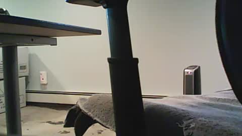 scottie813 online show from 12.12.24