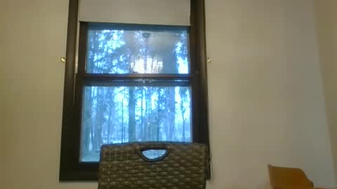 scottpbi52 online show from 02.04.25