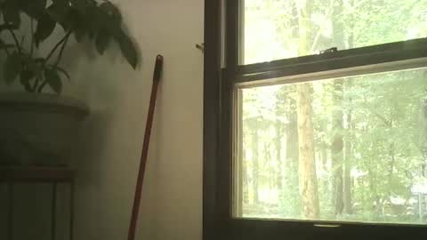 scottpbi52 online show from 09.28.25