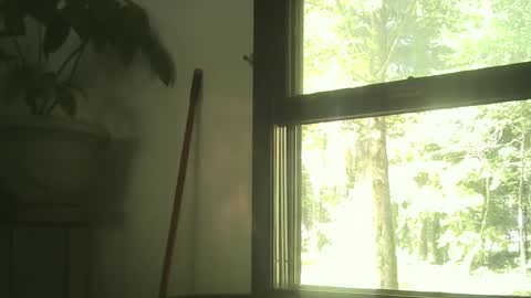 scottpbi52 online show from 09.30.25