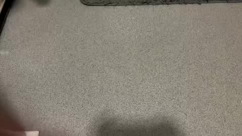 scottyc48 online show from 12.01.25