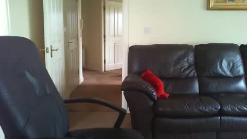 seakrait online show from 03.27.26