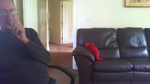 seakrait online show from 04.20.26