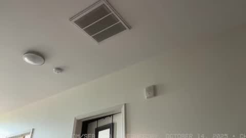 Snapshot of seb_tv chatting on 10.15.25 Sebastian online show from 10.15.25