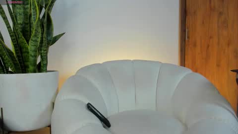 Snapshot of sebas_w01 chatting on 11.22.25 sebastian online show from 11.22.25