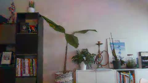 sebix9206 online show from 02.13.25