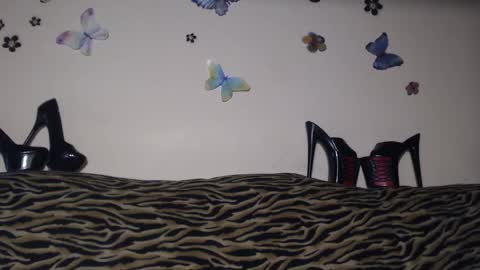 Emily online show from 03.12.26