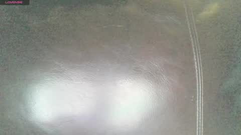 Sunny online show from 01.29.25