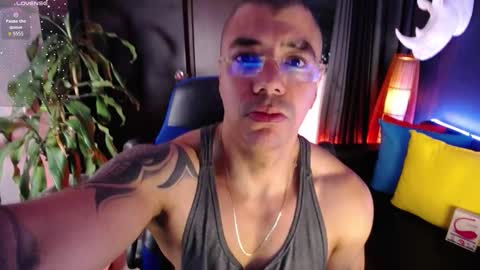 sed online show from 11.06.25