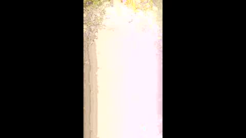 Snapshot of seethru9 chatting on 03.02.26 seethru9 online show from 03.02.26